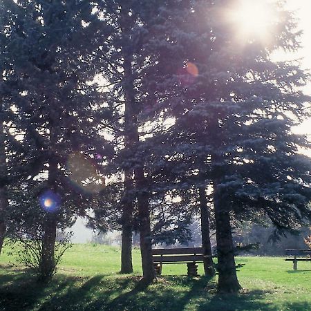 Bruckerhof Hotel Puchberg am Schneeberg Ngoại thất bức ảnh